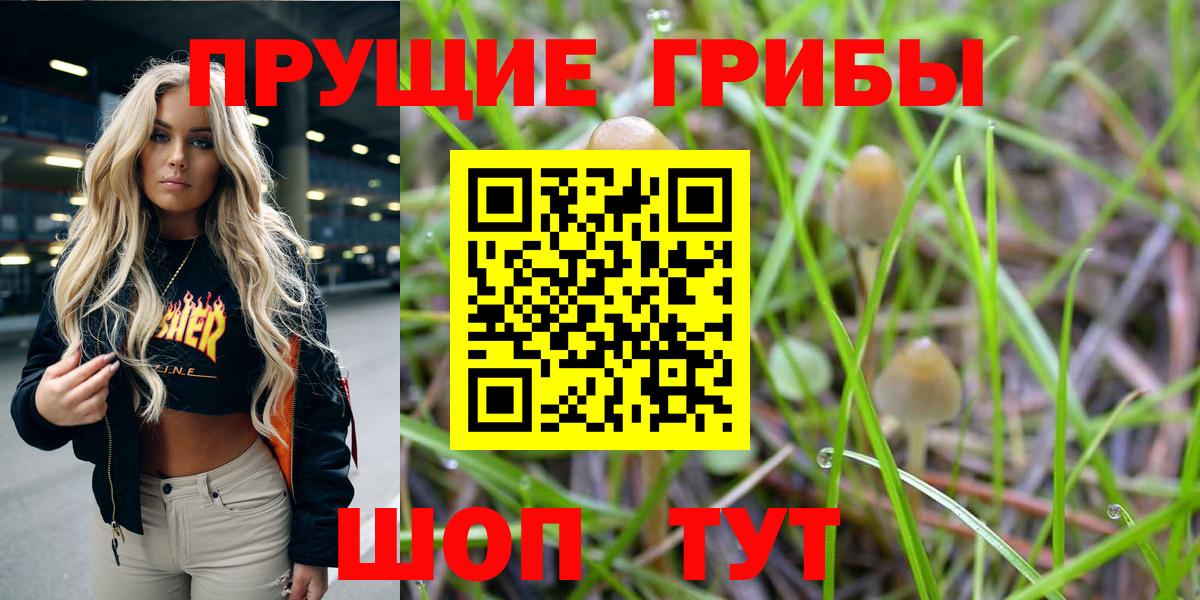 Псилоцибиновые грибы Magic Shrooms  Вход с VPN  Кашира 