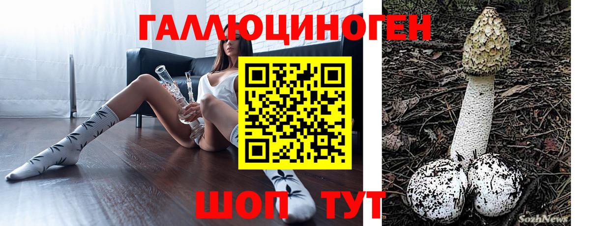Галлюциногенные грибы Psilocybine cubensis Кашира